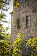 Historic castle ruins with old windows and stone walls, surrounded by green foliage and sunlight,