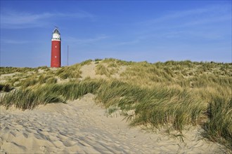 Eierland lighthouse with dunes, De Cocksdorp, Texel, West Frisian Islands, Province of North