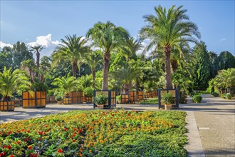 Palm garden in the spa gardens, the largest outdoor palm garden north of the Alps, spa town of Bad