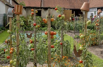 Vegetable garden at an old farm, Seebach, Département Bas-Rhin, Alsace, France, Europe