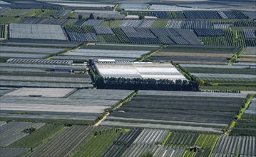 Apple-growing area and wine-growing, in the Adige Valley, South Tyrol, large areas under