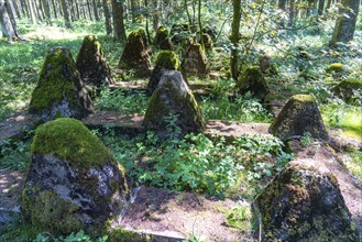 Remains of the former Westwall, anti-tank barriers, on the border with Belgium, in a forest near