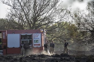 Forest fire in the German-Dutch border region near Niederkrüchten-Elmpt, in a nature reserve,