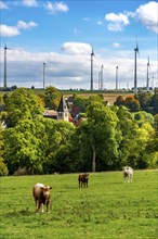 Wind farm near Lichtenau, Iggenhausen district, St. Alexander parish church, wind turbines, North