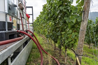 Upper Middle Rhine Valley, water tank for irrigating grapevine plants, in the Kapellenberg vineyard