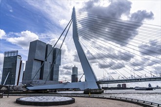 Skyline on the Nieuwe Maas, Erasmus Bridge, skyscrapers at Kop van Zuid, Feijenoord, Rotterdam,