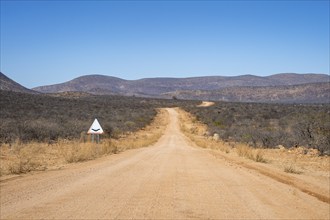 Gravel track leads through barren dry landscape with hills, Kaokoveld, Kunene, Namibia, Africa