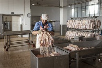 Production of salted ducks factory Nan Jing Ying Tao Yo Co. Ltd., for consumption in restaurants