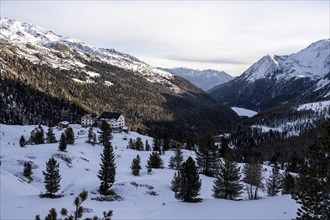 Zufallhütte mountain hut, view of the Martell Valley, snow-covered mountain landscape in winter,