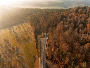 Autumnal aerial view of a forest crossed by tracks and a tunnel in soft sunlight, Weil der Stadt.