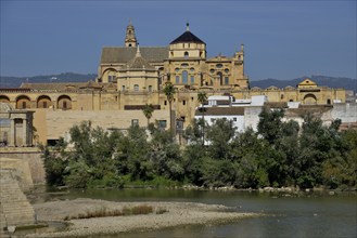 Mezquita, Mosque–Cathedral of Córdoba, Cathedral of the Conception of Our Lady, Córdoba, Córdoba