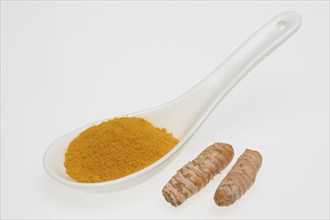 Turmeric (Curcuma longa) or curcume, yellow ginger, saffron root, turmeric, plant species of the