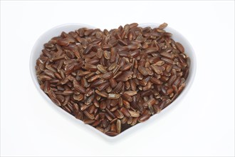 Red rice, Camargue rice from France, rice variety with a red bran layer, usually offered as brown