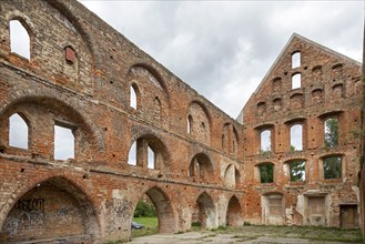 Monastery ruins, Bad Doberan, Mecklenburg-Western Pomerania, Germany, Europe