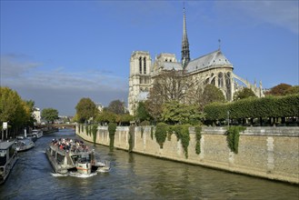 Sightseeing boat on the Seine river in front of Notre Dame Cathedral, Paris, France, Europe