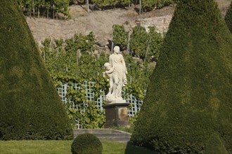 Schloss Wackerbarth or Wackerbarths Ruh' is a baroque castle surrounded by vineyards in the