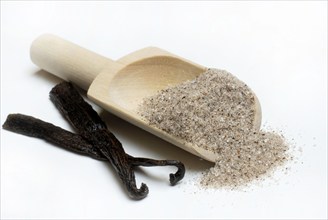 Vanilla pod, vanilla sugar (Vanilla planifolia), vanilla pod, sugar, vanilla