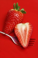 Strawberry Fork (Fragaria x ananassa) , Strawberry