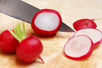 Red Radish (Raphanus sativus var. sativus) are cut, cut, knife