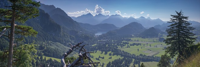 Neuschwanstein Castle, Hohenschwangau near Füssen, Ostallgäu, Allgäu, Bavaria, Germany, Europe