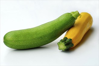 Courgettes (Cucurbita pepo var. giromontiina)