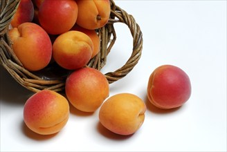 Apricots (Prunus armeniaca)