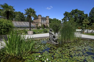 Water Lily Pond, Botanical Garden, Karlsruhe, Baden-Württemberg, Germany, Europe