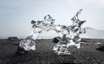 Ice, piece of ice on black sand beach, on black lava beach Diamond Beach, Southeast Iceland,