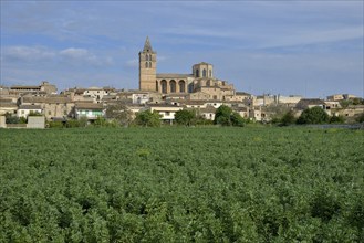 Parish church Nostra Senyora dels Angels, Sineu, Majorca, Balearic Islands, Spain, Europe