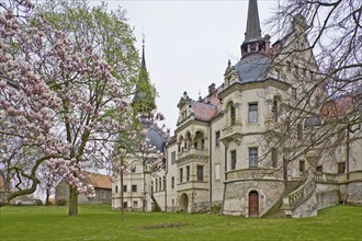 Schönfeld Castle near Grossenhain