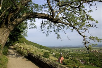 Vineyard church and wine trail