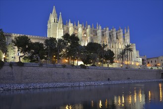 La Seu Cathedral, Palma Cathedral, at dusk, Palma, Majorca, Balearic Islands, Spain, Europe