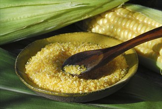 Polenta, maize, maize semolina, maize semolina, corn on the corn corn corn corn corn corn corn corn