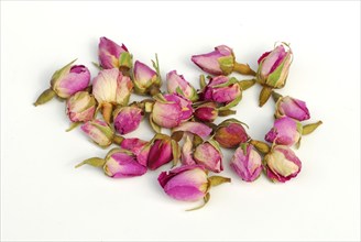 Dried rosebuds