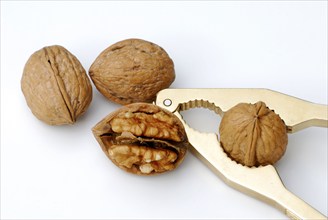 Walnuts (Juglans regia) and nutcrackers