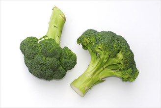 Broccoli (Brassica oleracea var. italica)