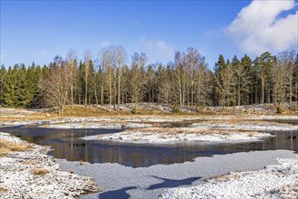 Reconstructed wetland by a forest with snow and ice on a sunny winter day, Sweden, Europe