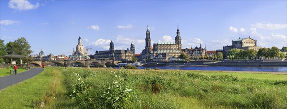 Dresden Scherenschnitt