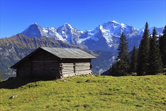 Lauterbrunnen Valley, Eiger, 3970 m, Mönch, 4107 m, and Jungfrau, 4158 m, view from Sulwald,