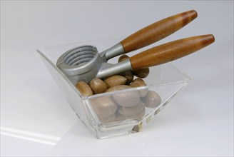 Bowl with Pecan (Carya illinoinensis) Nuts and nut cracker