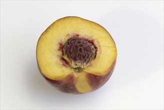 Peach half (Prunus persica)