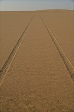 Car tracks in the sand in the Nubian Desert in Dongola, Northern, Nubia, Sudan, Africa