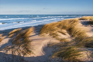 Stormy Baltic Sea in winter, dunes with beach grass, Fischland-Darß-Zingst peninsula, Vorpommersche