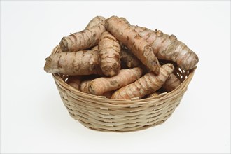 Turmeric (Curcuma longa) or curcume, yellow ginger, saffron root, turmeric, plant species of the