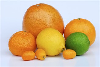 Citrus fruit, grapefruit, orange, tangerine, lemon, lime, kumquat