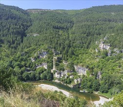 View of the village of Castelbouc above the Tarn river, Gorges du Tarn Causses, Département Lozère,