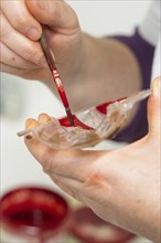 A person paints with red colour on a small palette, Christmas baking, Black Forest, Germany, Europe