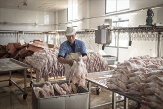 Production of salted ducks factory Nan Jing Ying Tao Yo Co. Ltd., for consumption in restaurants