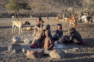 Himba children sitting by the fire, in the morning light, traditional Himba village, Kaokoveld,