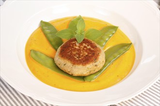 Vegetarian cuisine, walnut cakes on sugar snap peas with pumpkin sauce, sauce, vegetables, snow